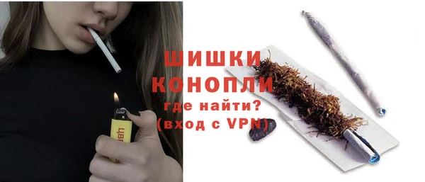 эйфоретик Вяземский