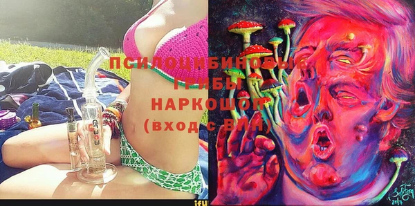 МДПВ Володарск