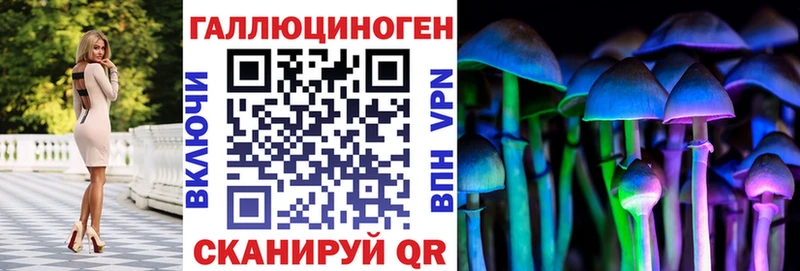 Галлюциногенные грибы Psilocybe  Купить где  Костомукша 